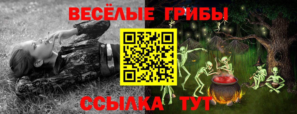 Галлюциногенные грибы MAGIC MUSHROOMS  Вход с VPN  Псилоцибиновые грибы Cubensis  Архангельск 