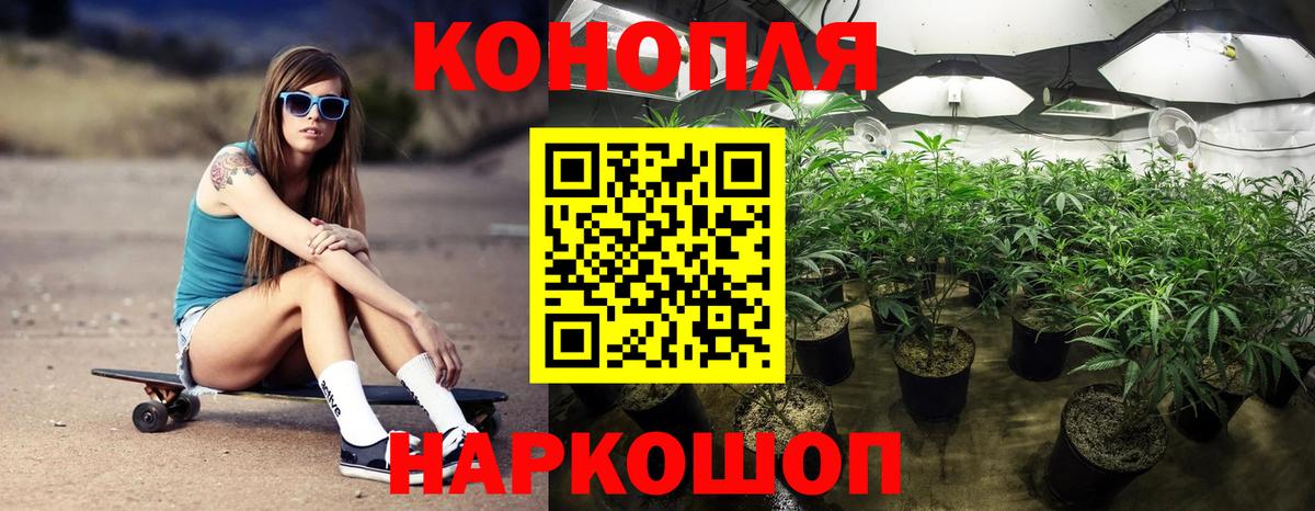 Шишки марихуана конопля Архангельск